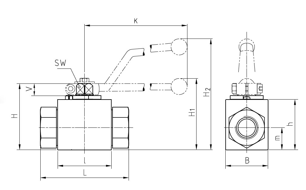 Схема габаритных размеров BKH-G12